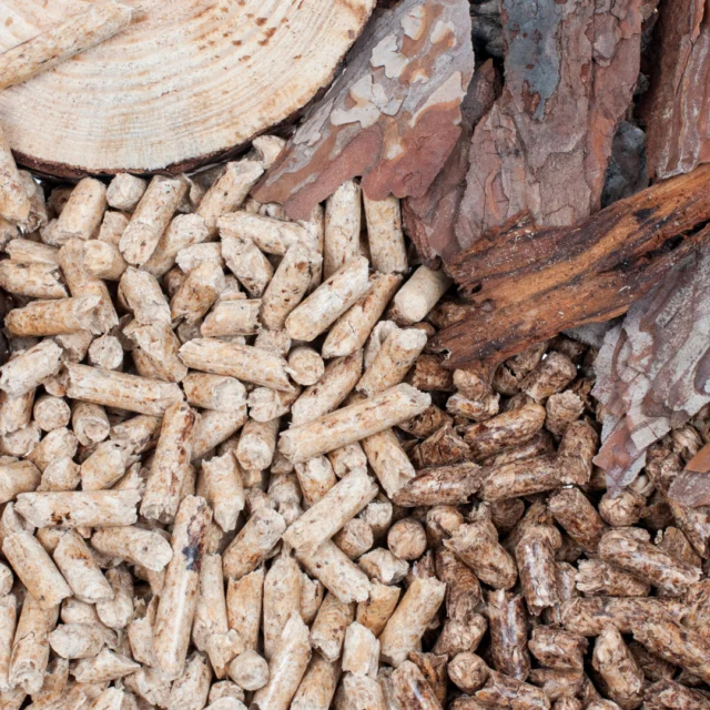 Biomasse – Holzscheiben, Rinde und eine Mischung aus hellen und dunklen Holzpellets als umweltfreundlicher Industriebrennstoff.