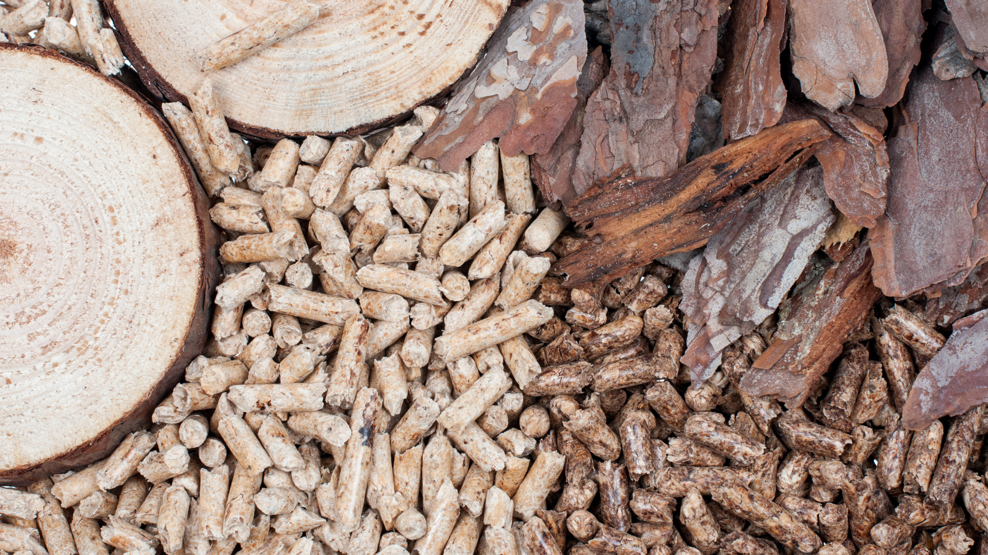 Biomass – slices of wood, bark, and a blend of light and dark wood pellets as an eco-friendly industrial fuel.