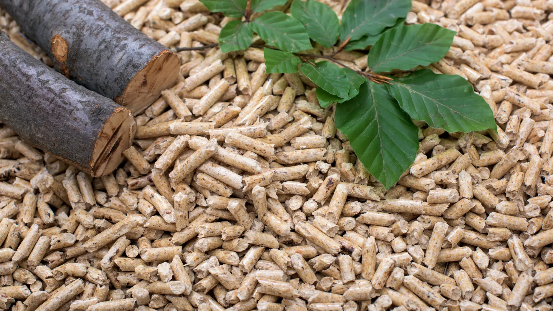 Biomass as a modern energy fuel – granulated wood pellets, pieces of wood and green leaves symbolizing an экологiczne source of renewable energy.