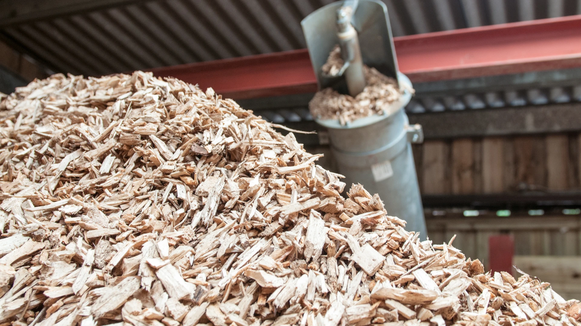 Biomass supplier in Poland – wood chips prepared for use as an ecological renewable fuel in the energy sector.