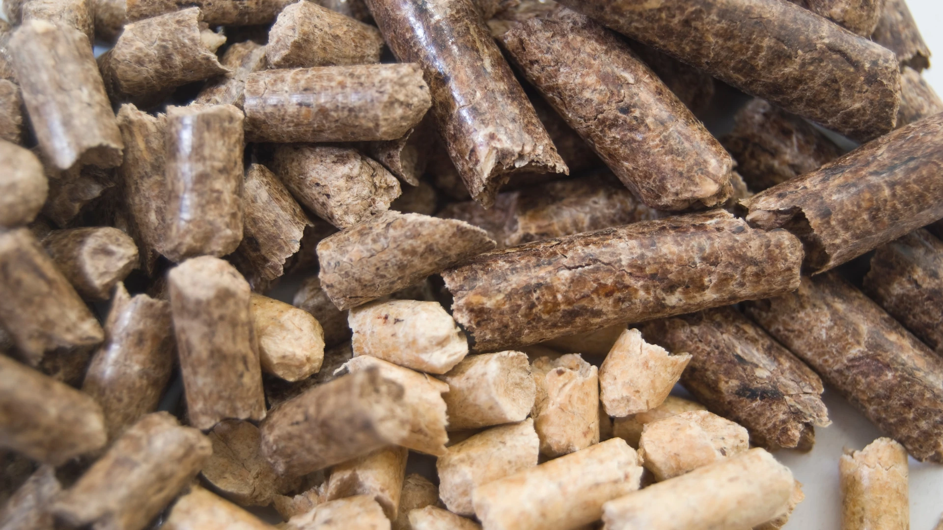 Biomass supplier in Poland – a close-up of eco-friendly wood pellets used as a renewable source of energy.