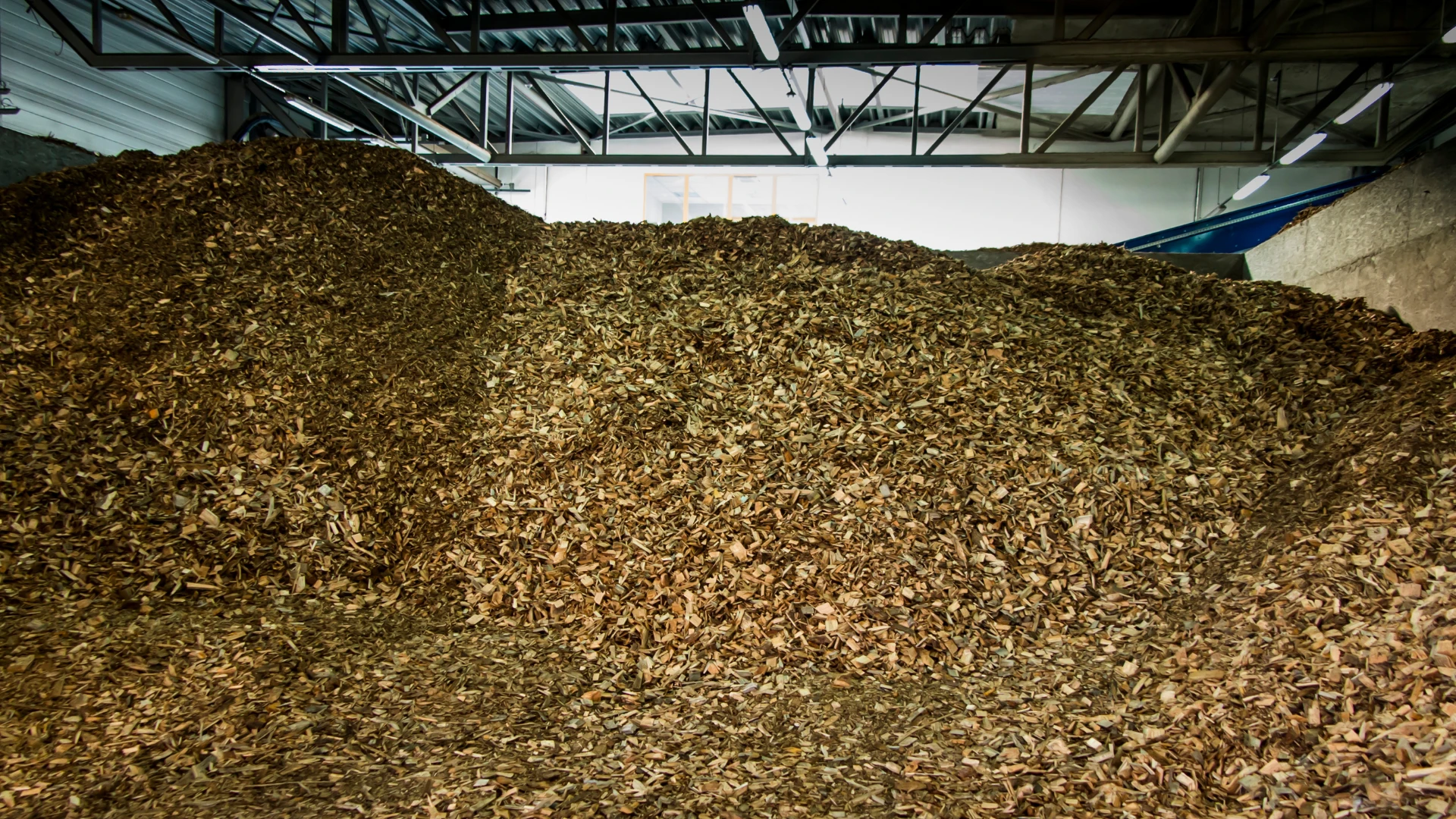 Biomass supplier in Poland – large heaps of wood chips stored in a warehouse for use as ecological fuel.