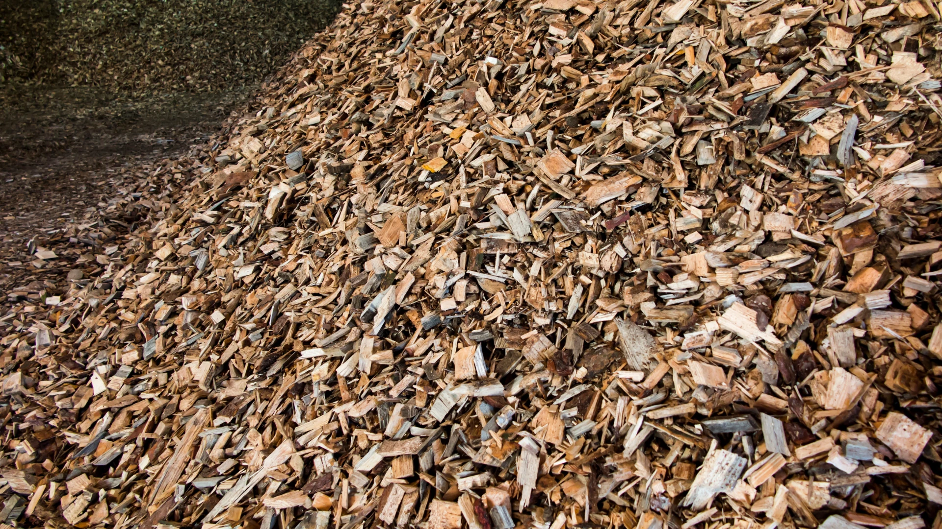 Biomass supplier in Poland – a pile of wood chips used as renewable fuel for heat energy production.