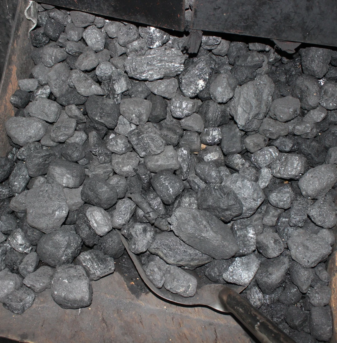 PCI Coal Supplier – close-up of black, hard PCI coal pieces in a container, prepared for industrial energy use.