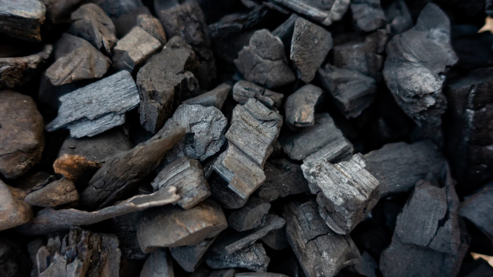 Kohlegroßhandel in Schlesien – hochwertige Steinkohle in verschiedenen Fraktionen, Nahaufnahme der für den Großhandel vorbereiteten Brocken.