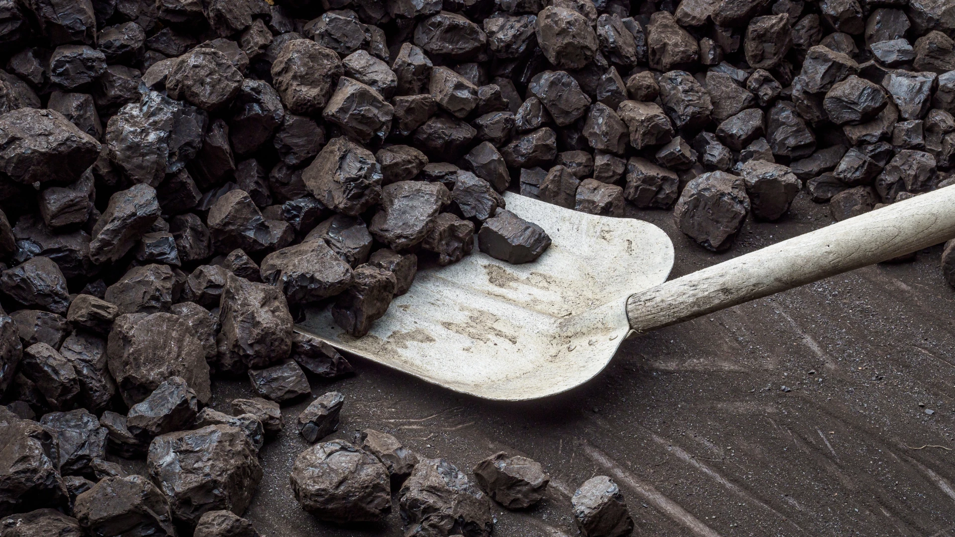 Coal wholesale in Silesia – hard coal lumps loaded with a shovel, energy raw material prepared for wholesale sale to industry and institutional customers.
